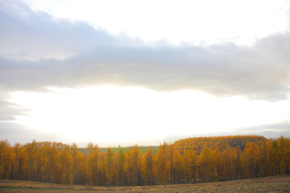 d0069235_22314886.jpg