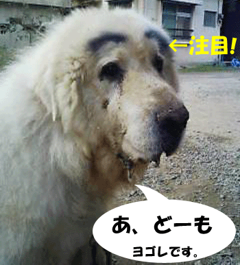 f0008935_9391890.gif