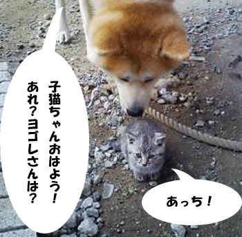 f0008935_939671.gif