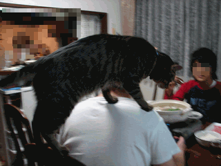 c0136736_234710.gif