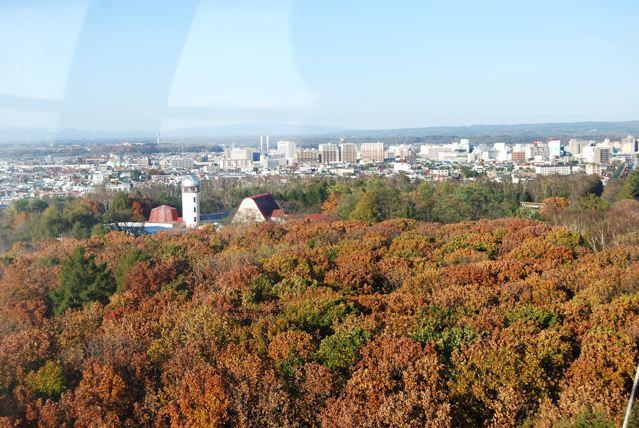 a0057237_1339251.jpg