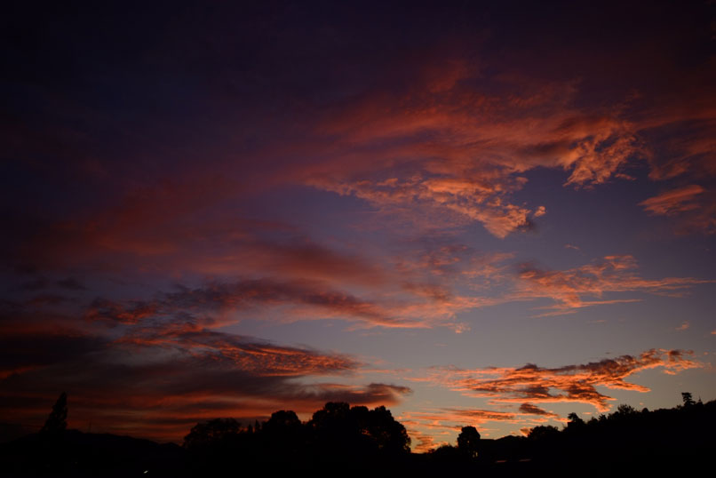 b0075541_0104127.jpg