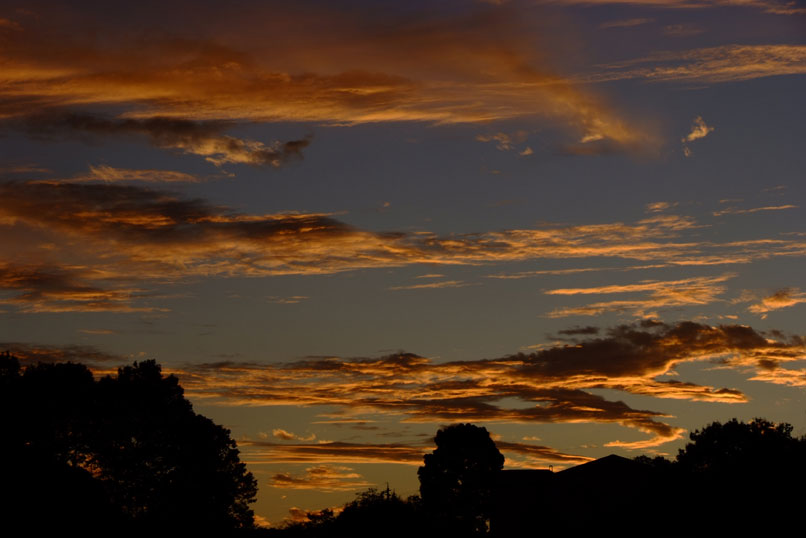 b0075541_012728.jpg