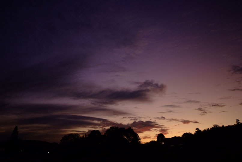 b0075541_0174436.jpg