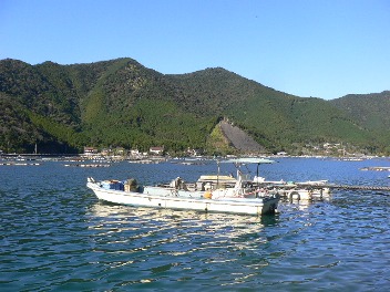 b0041442_812451.jpg