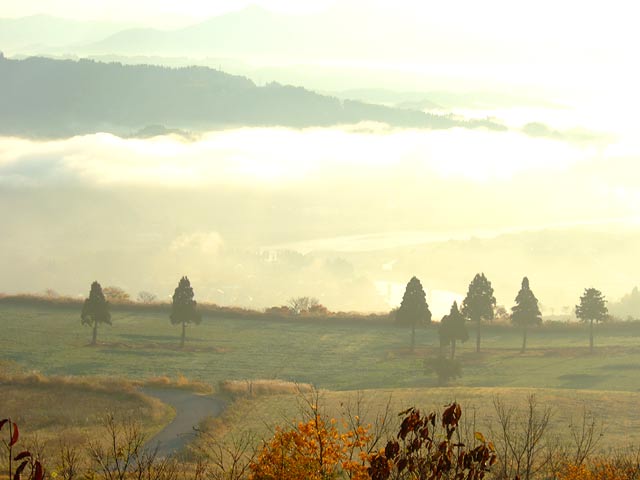 e0006242_922423.jpg
