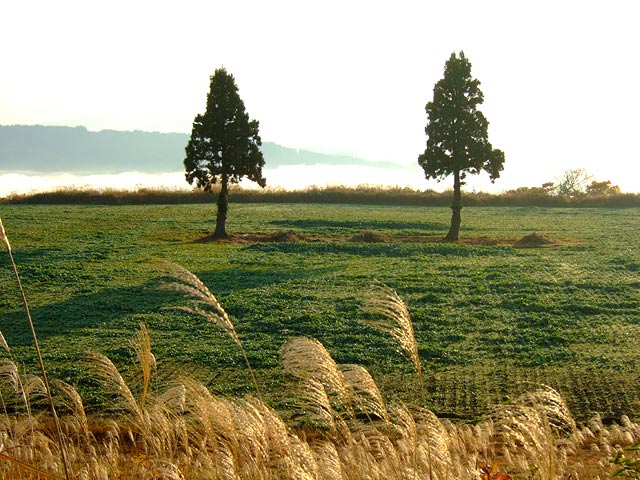 e0006242_9251336.jpg