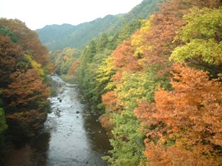 d0124543_215859.jpg
