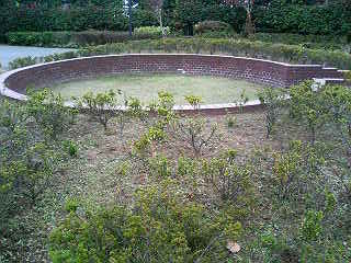 e0150843_2250080.jpg