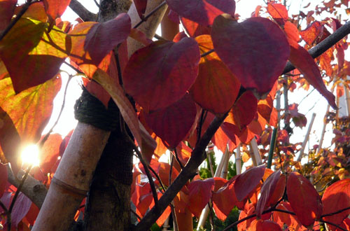 c0131544_791772.jpg