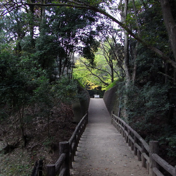 f0184244_2303220.jpg