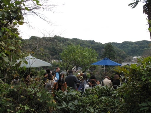 e0122451_213586.jpg