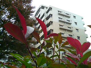 f0183358_15232196.jpg