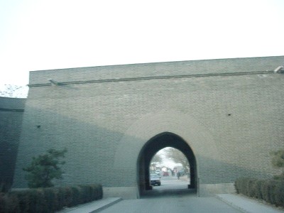 b0154759_013742.jpg