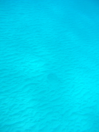 b0062363_21345569.jpg