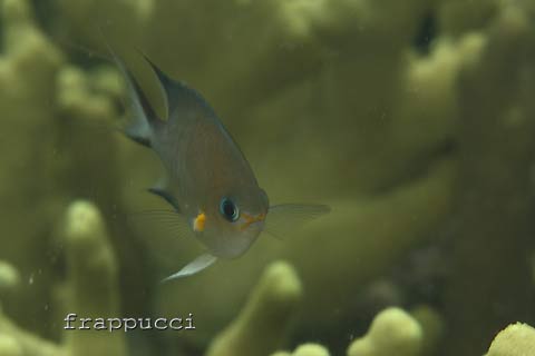 d0056263_1163830.jpg