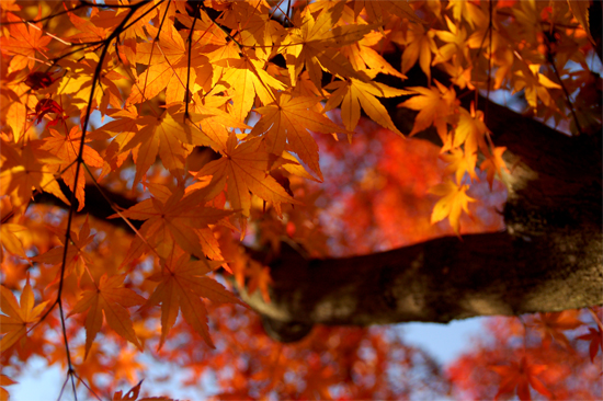 a0046364_20124918.jpg