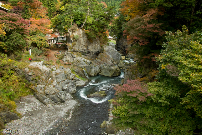 b0136768_21431572.jpg