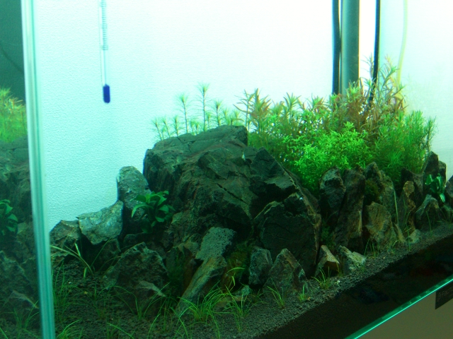 b0150868_23265914.jpg