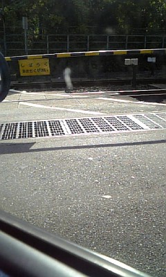 d0041268_231114.jpg