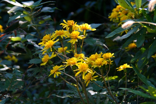 d0102968_1013022.jpg