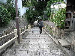 e0041168_9555780.jpg