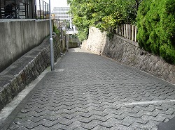 e0041168_9565384.jpg