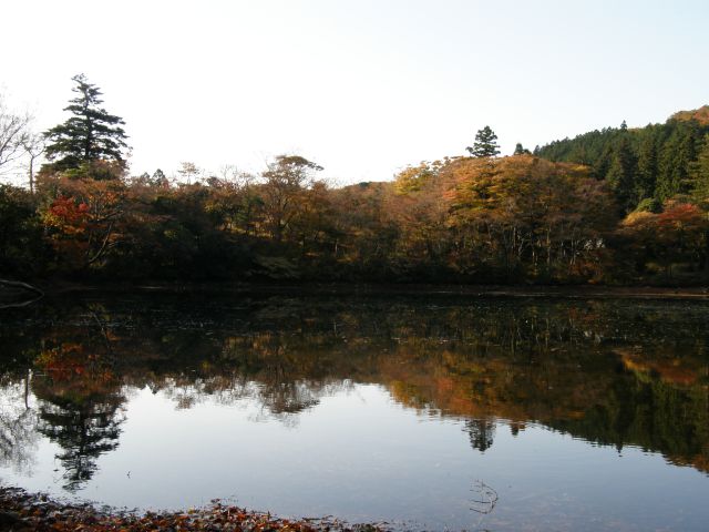 c0042869_1711447.jpg