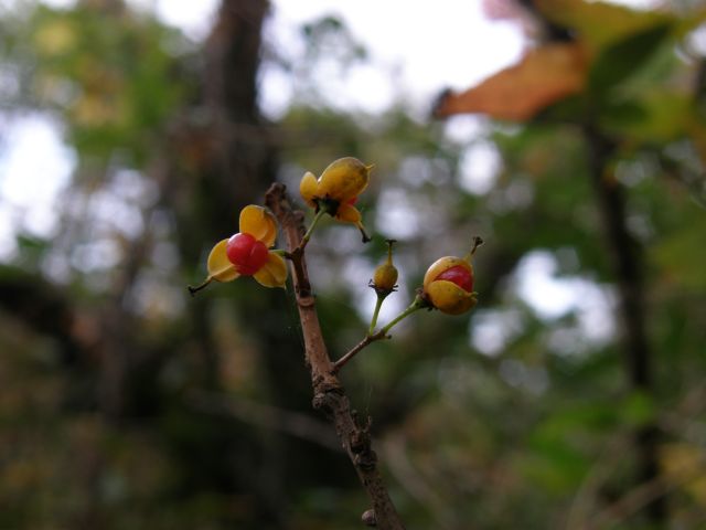 c0042869_17215013.jpg
