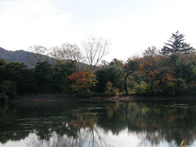 c0042869_1735086.jpg