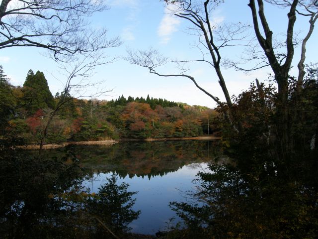 c0042869_17351661.jpg