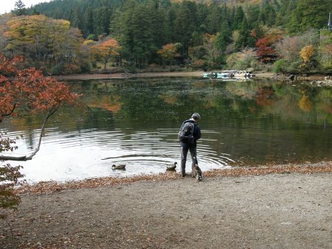 c0042869_17375257.jpg