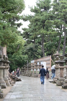 f0144469_17382471.jpg