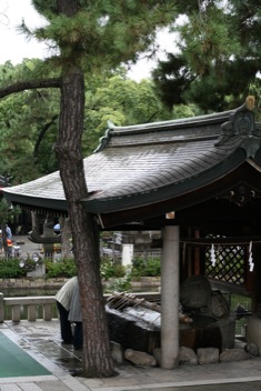 f0144469_17395591.jpg