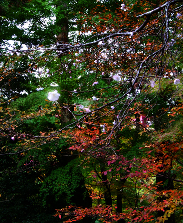d0095673_2210846.jpg