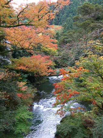 d0095673_2261393.jpg