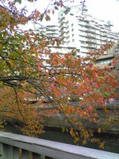 c0102375_0441845.jpg