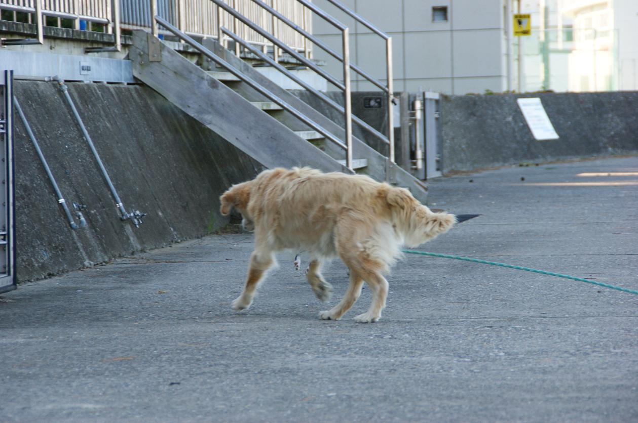 c0179376_21485960.jpg