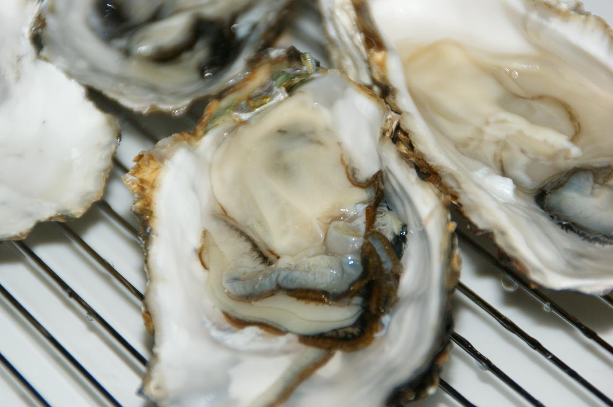 c0179376_220418.jpg