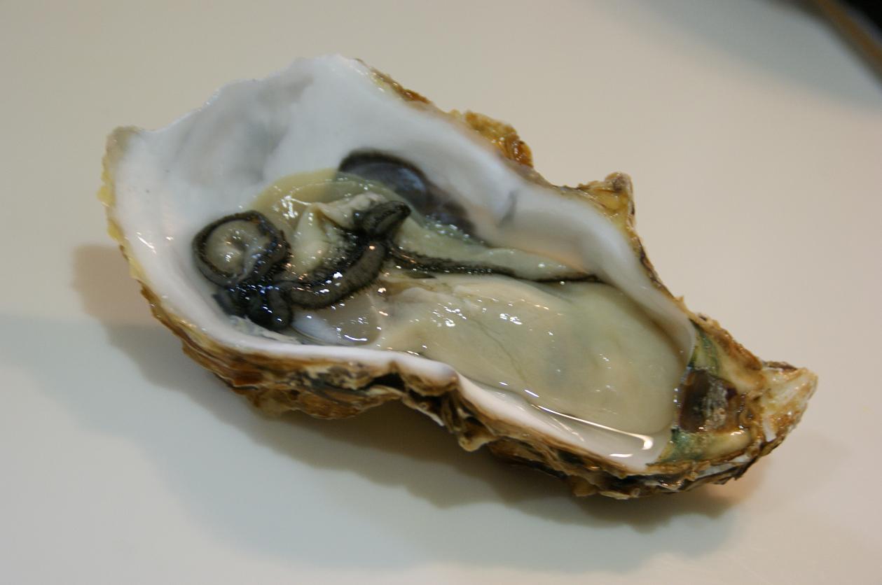 c0179376_220981.jpg