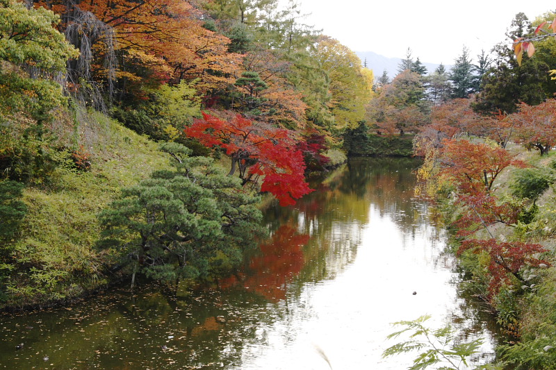 b0083779_111320.jpg