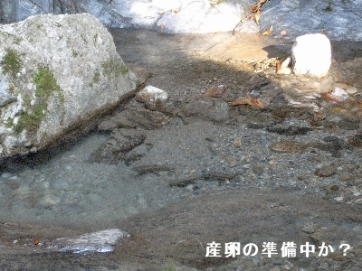 c0091679_0315989.jpg