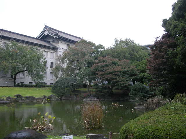 a0105981_0593369.jpg