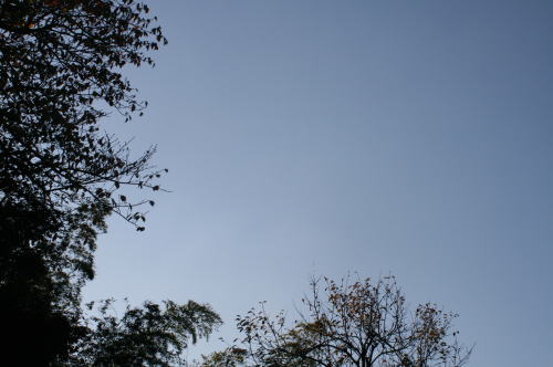 b0136683_126288.jpg