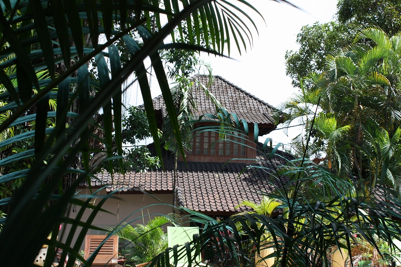 f0103484_16511746.jpg