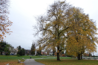 d0129786_1448141.jpg