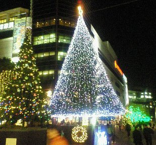 c0014187_15323528.jpg