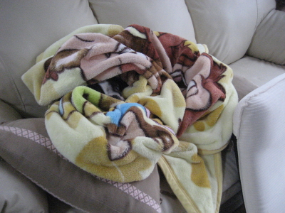 c0092787_114555.jpg