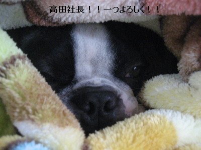 c0092787_1164391.jpg