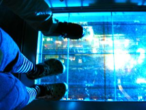 d0056490_8571884.jpg